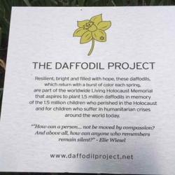 Daffodil Project sign