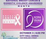 National Breast Cancer & Domestic Violence Awareness Month