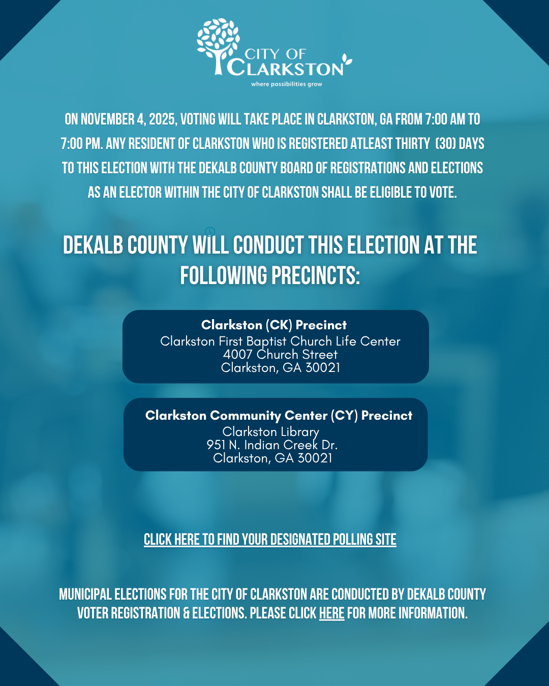 2025 General Election Voting