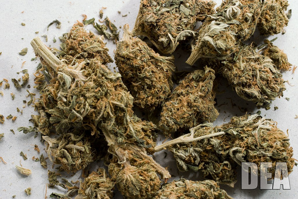Clarkston Cannabis